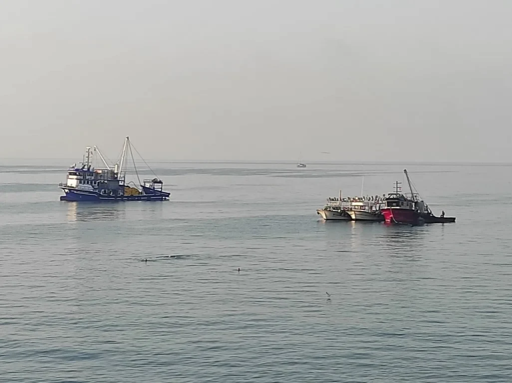 Av Yasağı Kalktı Balıkcılar Denize Açıldı