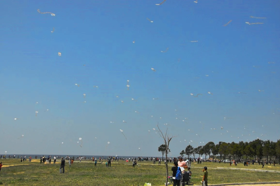 Didim'de Geleneksel Uçurtma Şenliği Yapıldı