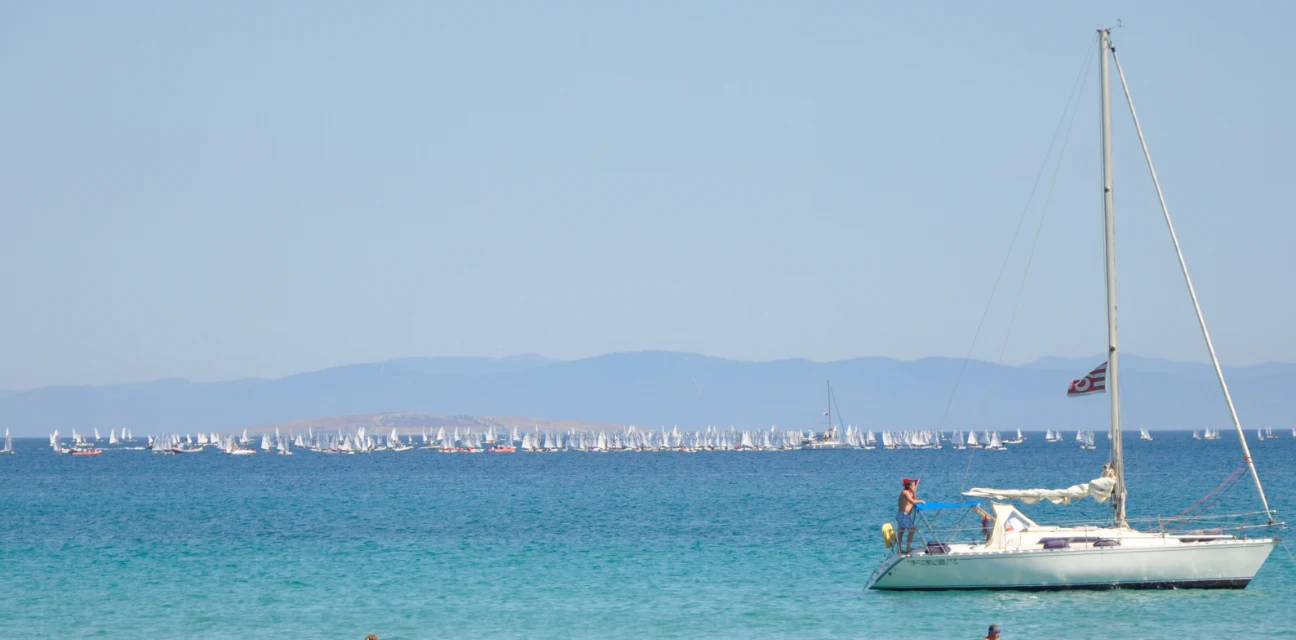 Didim Altınkumda Yelken Yarışları