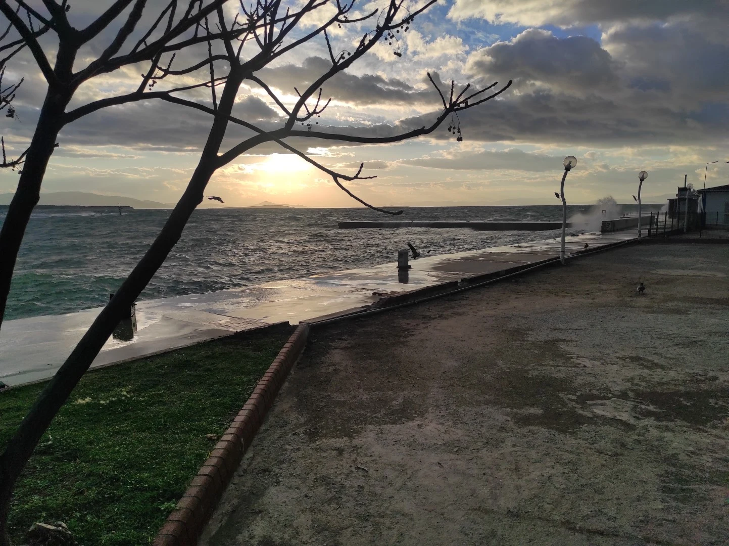 Lodos Didim'de de Etkili Oldu.