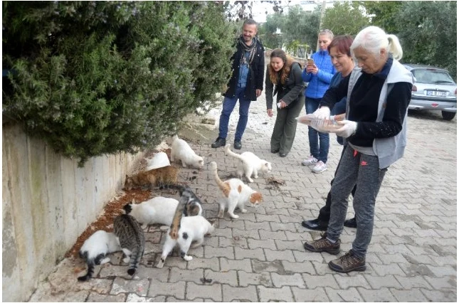 Didim'liler Sokak Hayvanlarına Sahip Çıkıyor.