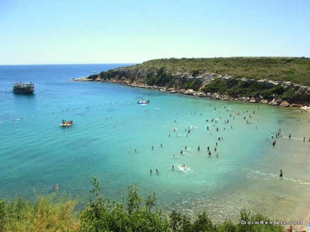 Didim Akvaryum Koyu