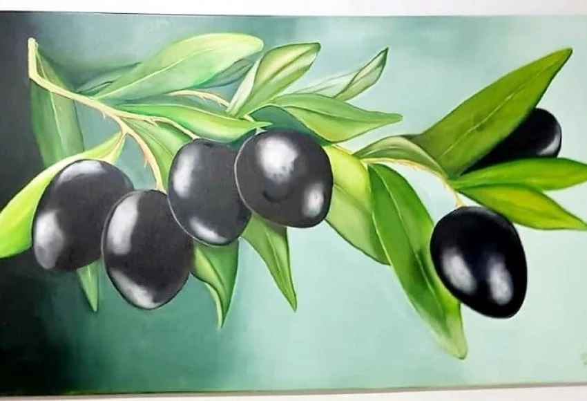 Didim Zeytin Festivaline Hazırlanıyor