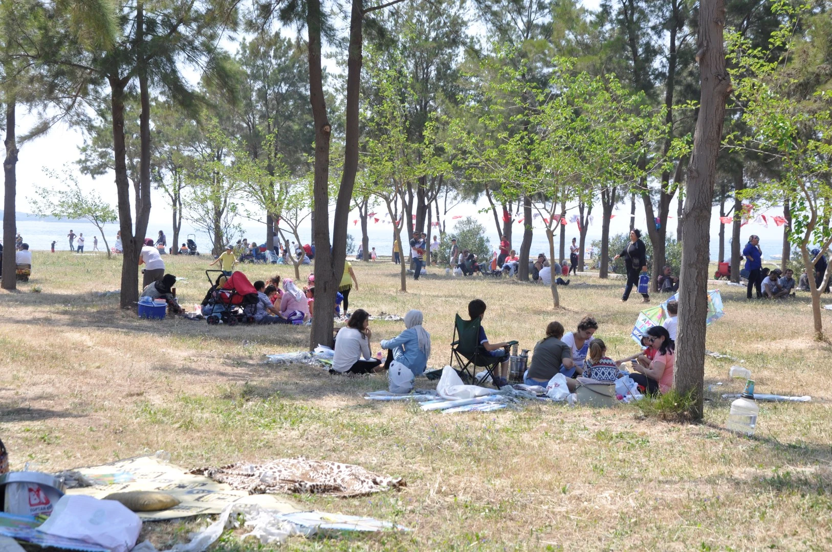 Didim Uçurtma şenlikleri (3)