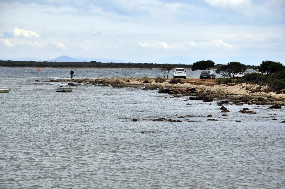 Didim Fener Koyun'da Flamingolar