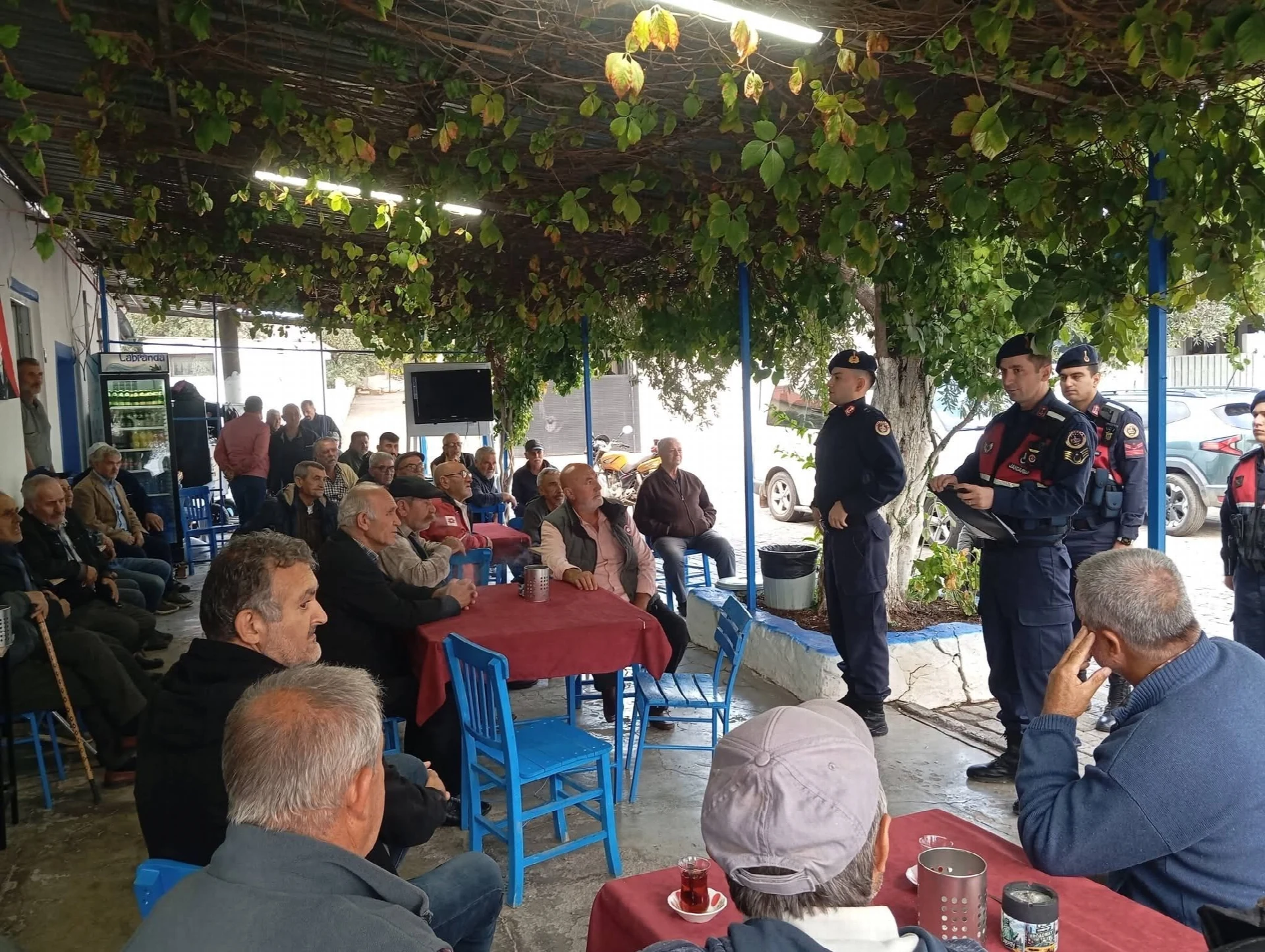 Didim Akköy’de Zeytin Üreticilerine Jandarmadan Güvenlik Uyarısı