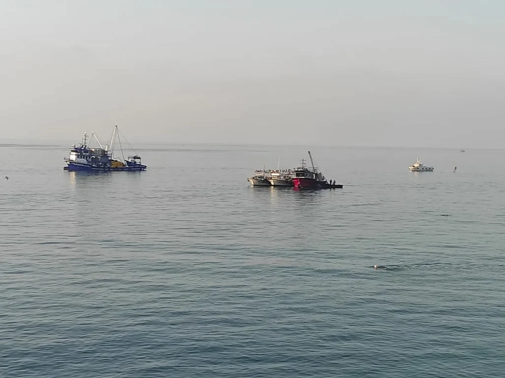 Av Yasağı Kalktı Balıkcılar Denize Açıldı
