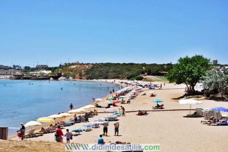 Didim' in 13 plajı Mavi Bayrak Aldı.