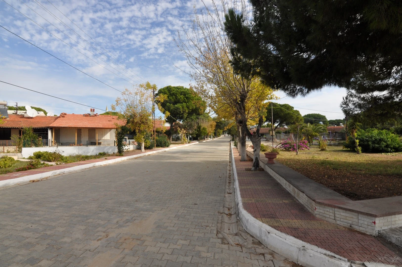 vettur sitesi (3)