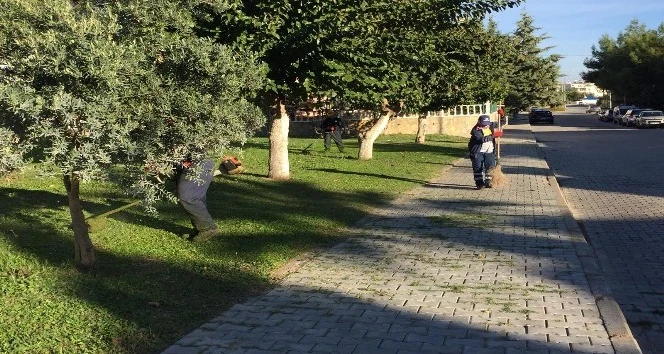 Didim'de yeşil alan çalışmaları devam ediyor.