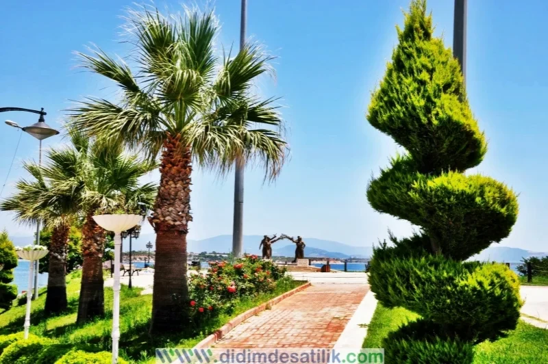 Didim' in 13 plajı Mavi Bayrak Aldı.