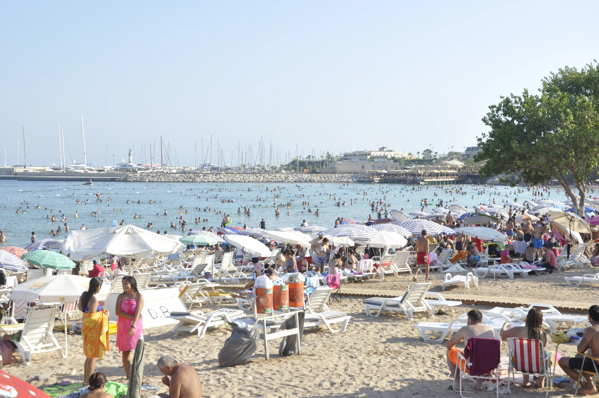 didim_üçüncü_koy (34)
