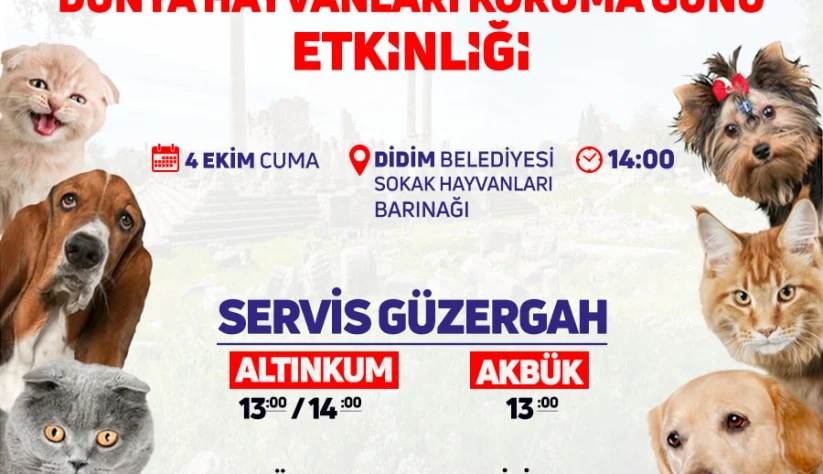 4 Ekim’de Barınakta Buluşuyoruz