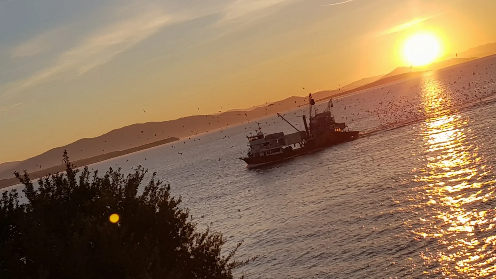 Ege’nin Parlayan Yıldızı Didim