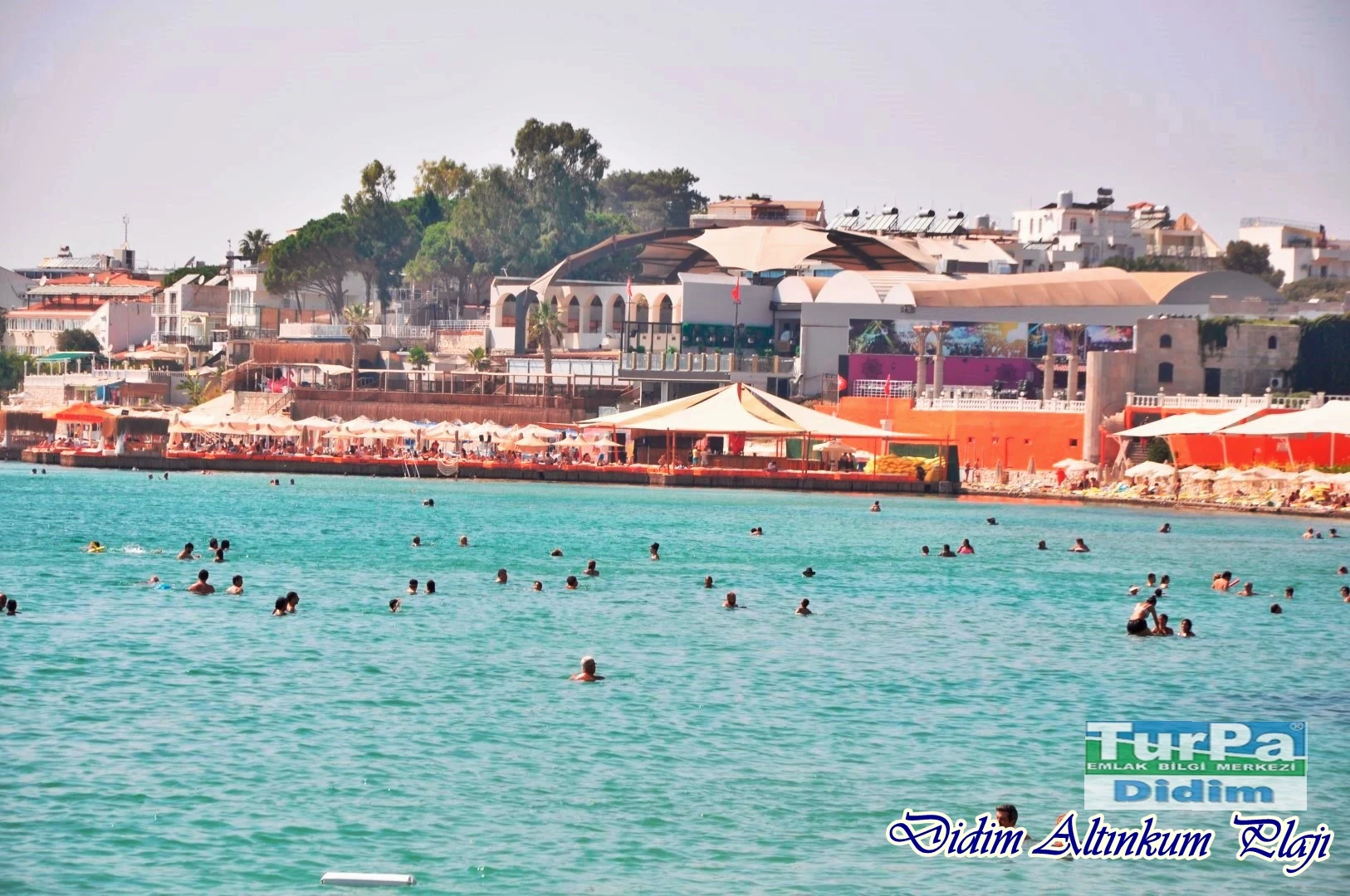 Mavinin 50 Tonu Didim