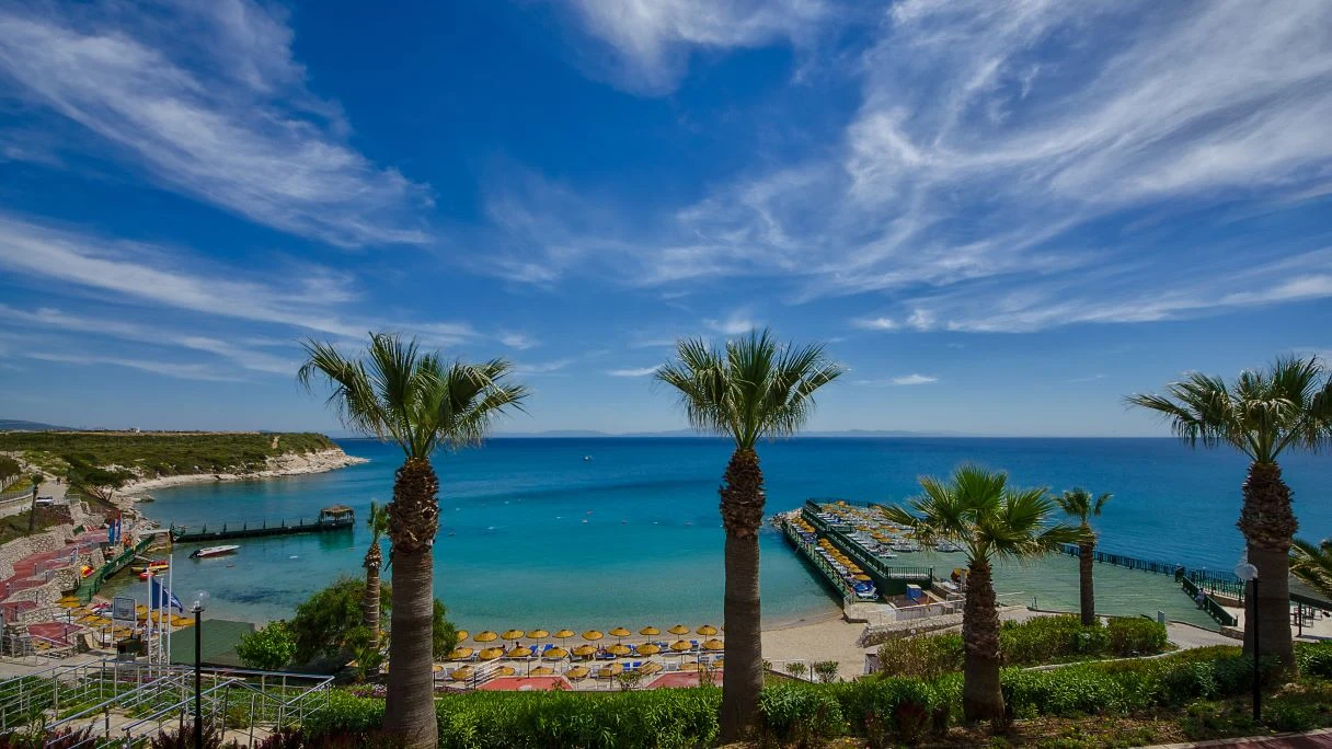 Didim Denizi'nin Şaşırtıcı Ekosistemi