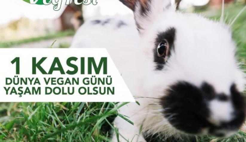 Didim VegFest’in Tarihi Belli Oldu