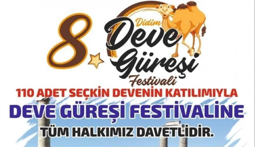 Didim Deve Güreşi Festivali Bugün Yapılıyor