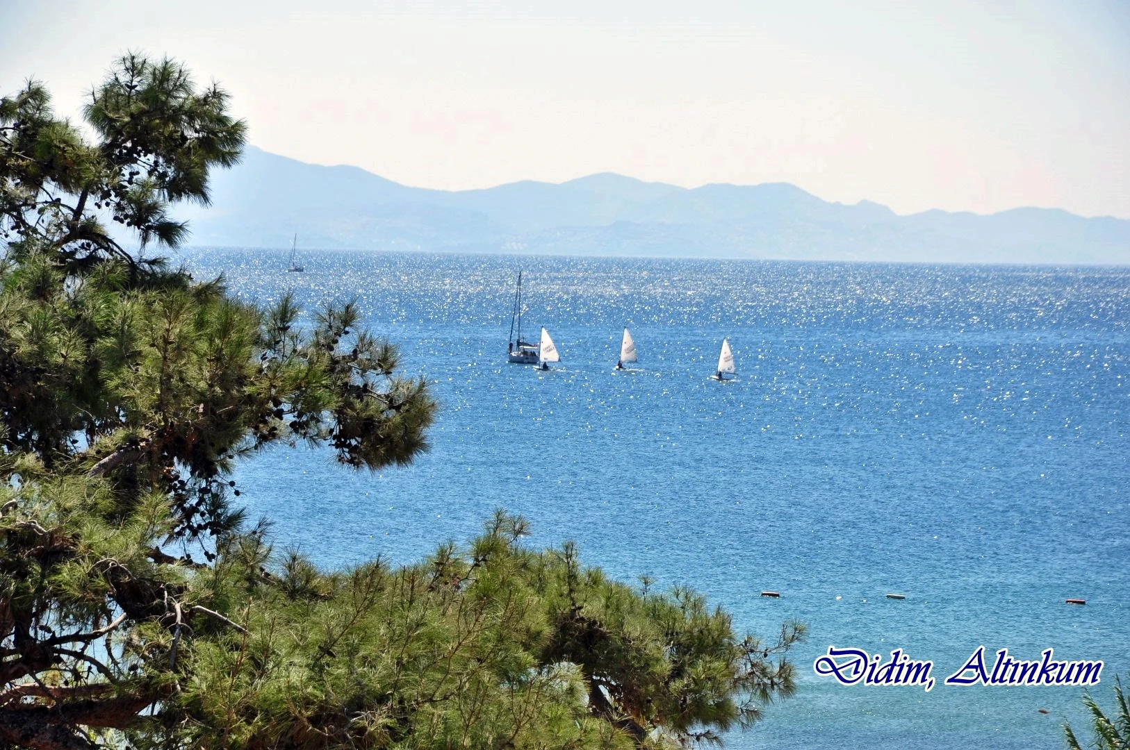 Didim,Altinkum