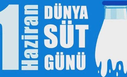 1 Haziran Dünya Süt Günü