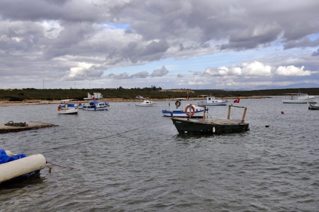 Fener Koyu Flamingolar (1)