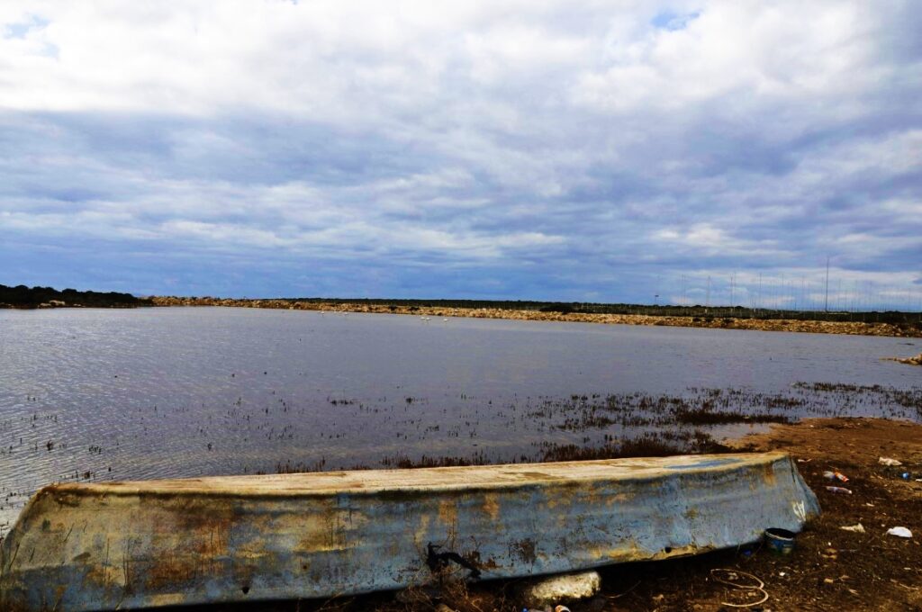 Fener Koyu Flamingolar (6)