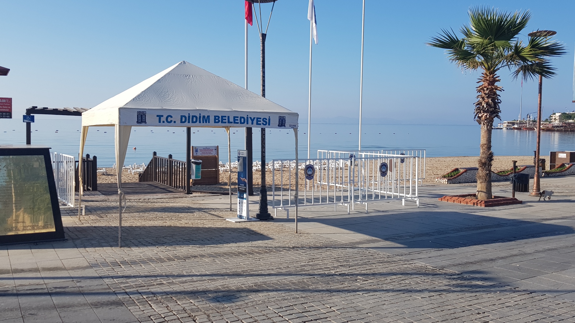 Didim Altınkum Plajı Covid-19 Tedbirleri İle Açıldı