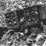 Didim Apollon Tapınağı (4)