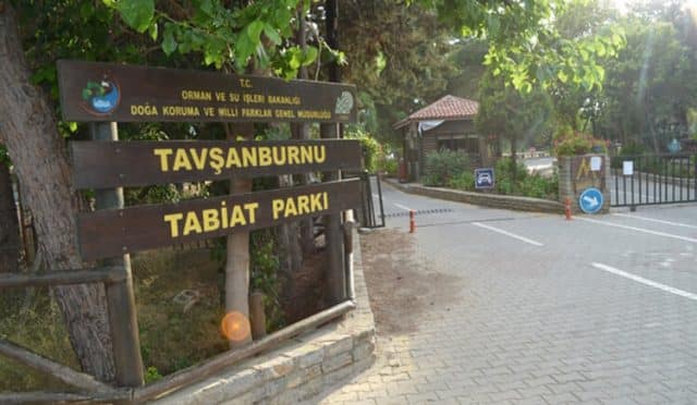 Didim Taşburun Orman Kampı