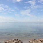 Didim Mavişehir Vettur Sitesi